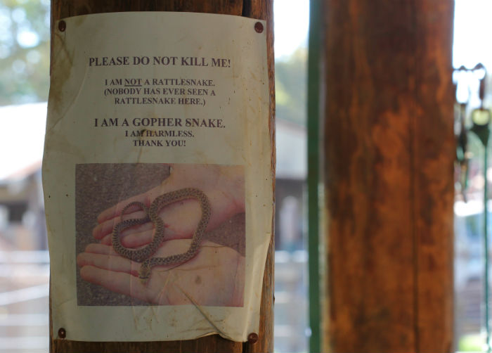 Snake Sign